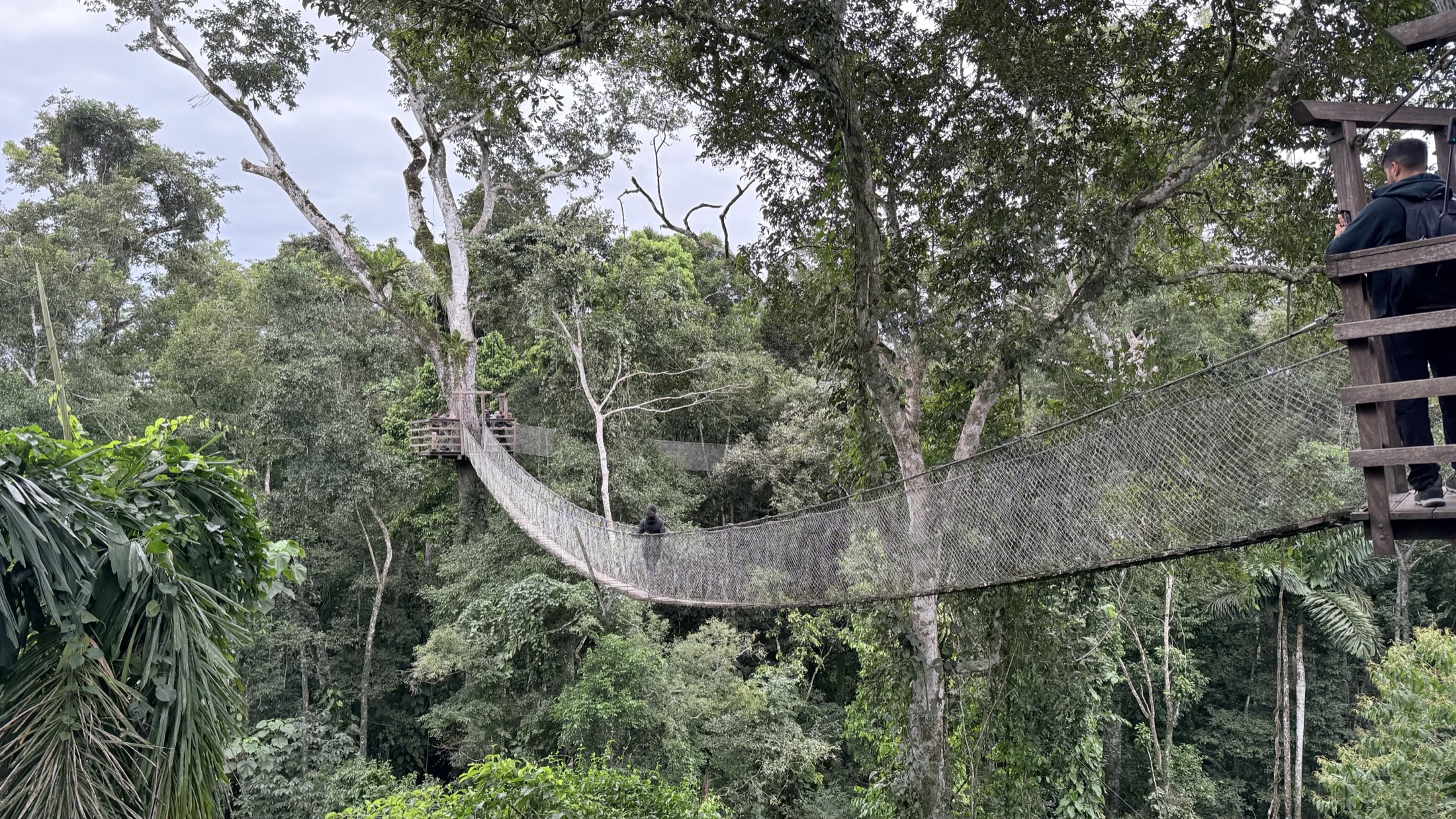 Canopy y puentes colgantes